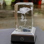 Crystal Rose Light – Forever Love in 3D