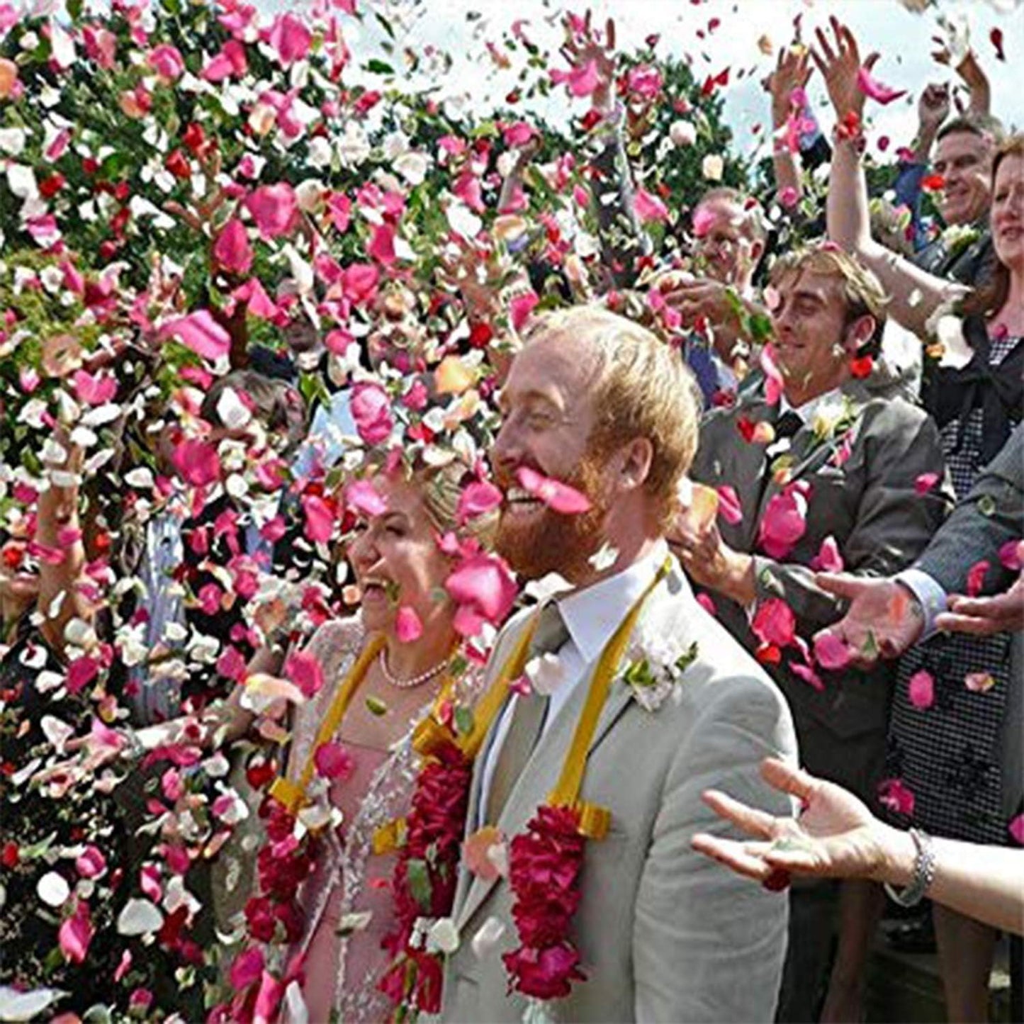 3000 PCS Silk Rose Petals Artificial Flower Petals for Romantic Night Wedding Party Flower Decoration Valentine Day (Rose Pink, 3000 Pcs)