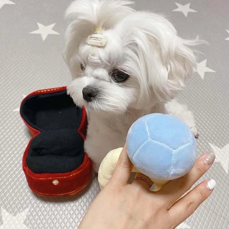 Funny Dog "Diamond Ring" Toy