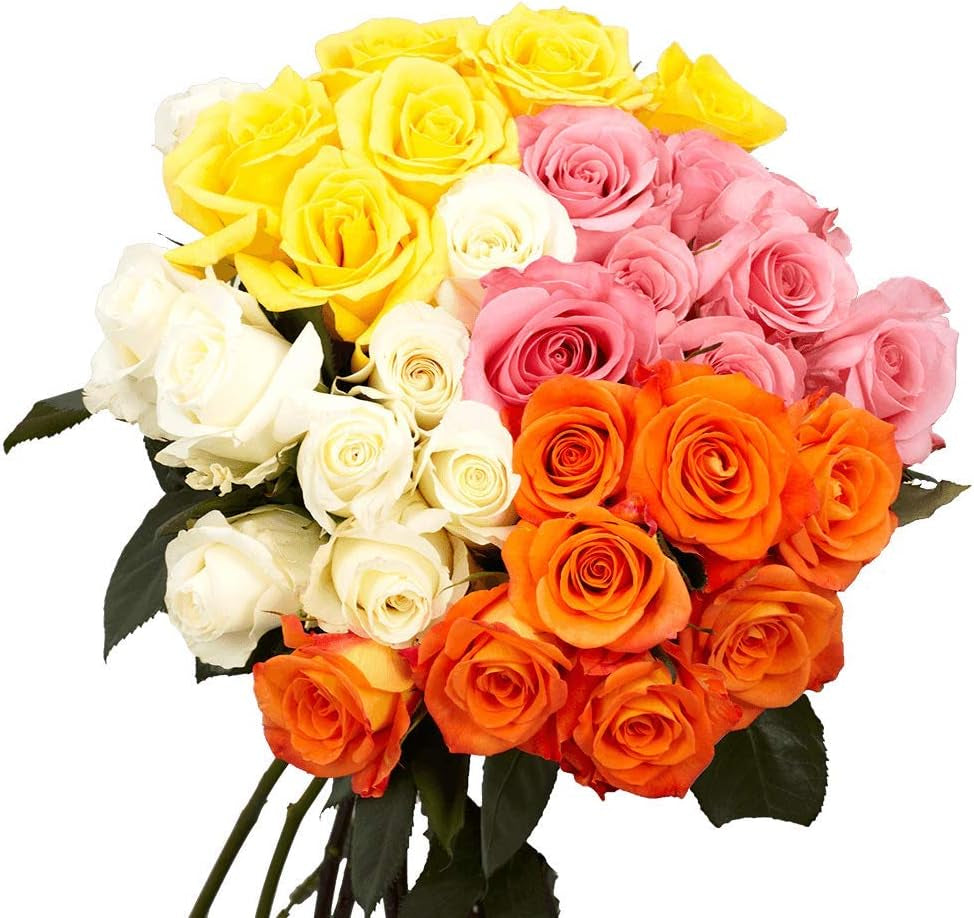 150 Fresh Cut Assorted Color Roses Long Stem - Fresh Flowers Wholesale Express Delivery