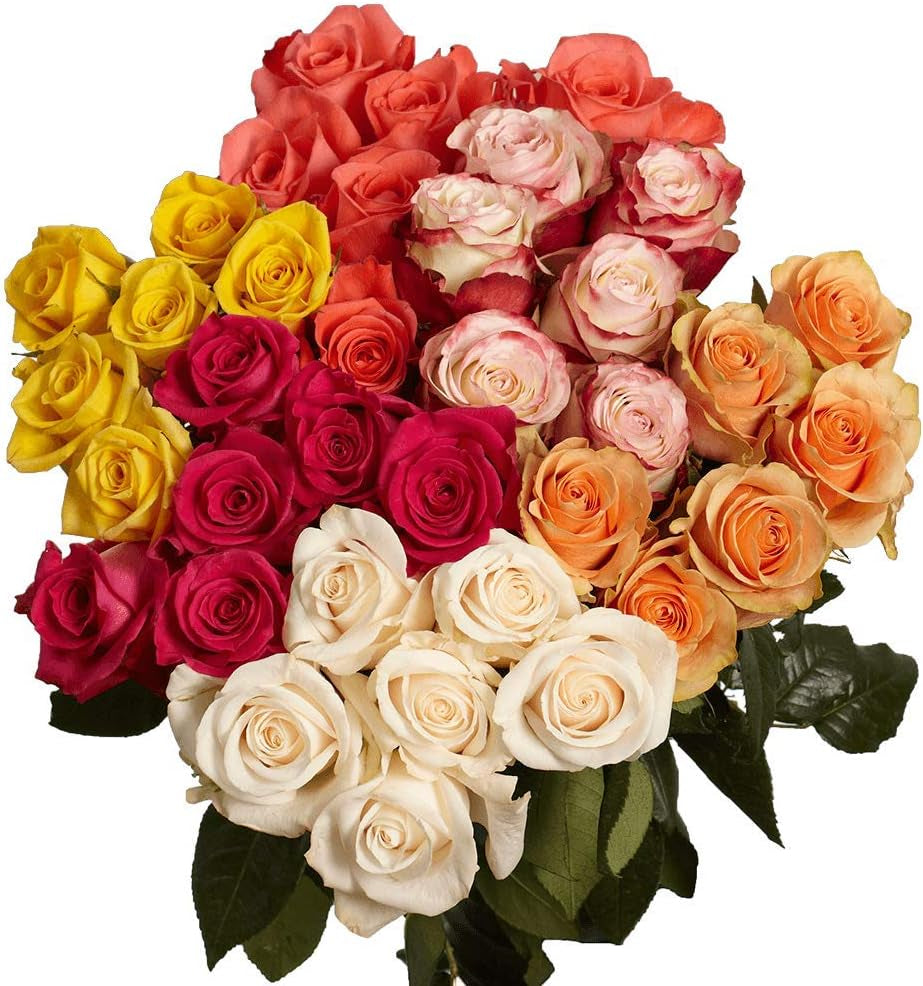 150 Fresh Cut Assorted Color Roses Long Stem - Fresh Flowers Wholesale Express Delivery