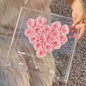 Eternal Preserved Real Rose in Acrylic Box