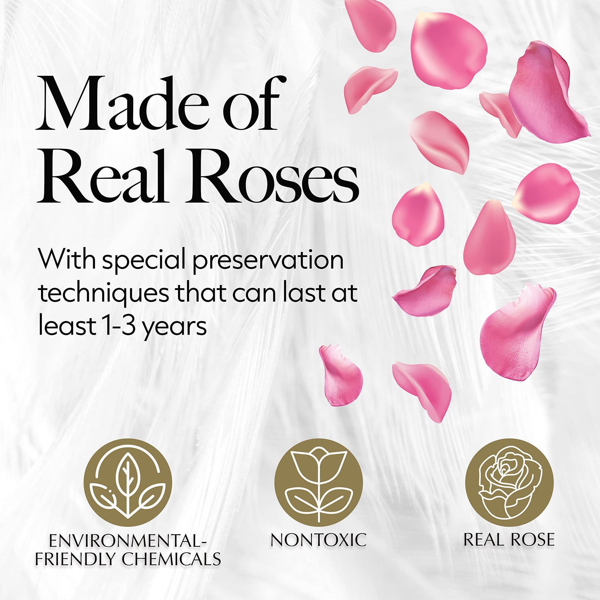 27-Piece Forever Flowers Heart Shape Box - Preserved Roses, Immortal Roses That Last a Year - Eternal Rose Preserved Flowers for Delivery Prime Mothers Day & Valentines Day - Pink