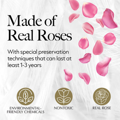 27-Piece Forever Flowers Heart Shape Box - Preserved Roses, Immortal Roses That Last a Year - Eternal Rose Preserved Flowers for Delivery Prime Mothers Day & Valentines Day - Pink