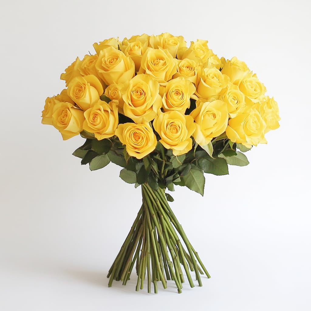 Fresh Cut Yellow Roses - 50 Roses Fresh Flowers Bouquet - Real Flowers Fresh Bouquet for Wedding, Birthday, Anniversary, Bridal Shower, or Home Decor - Fresh Cut Flowers Delivery