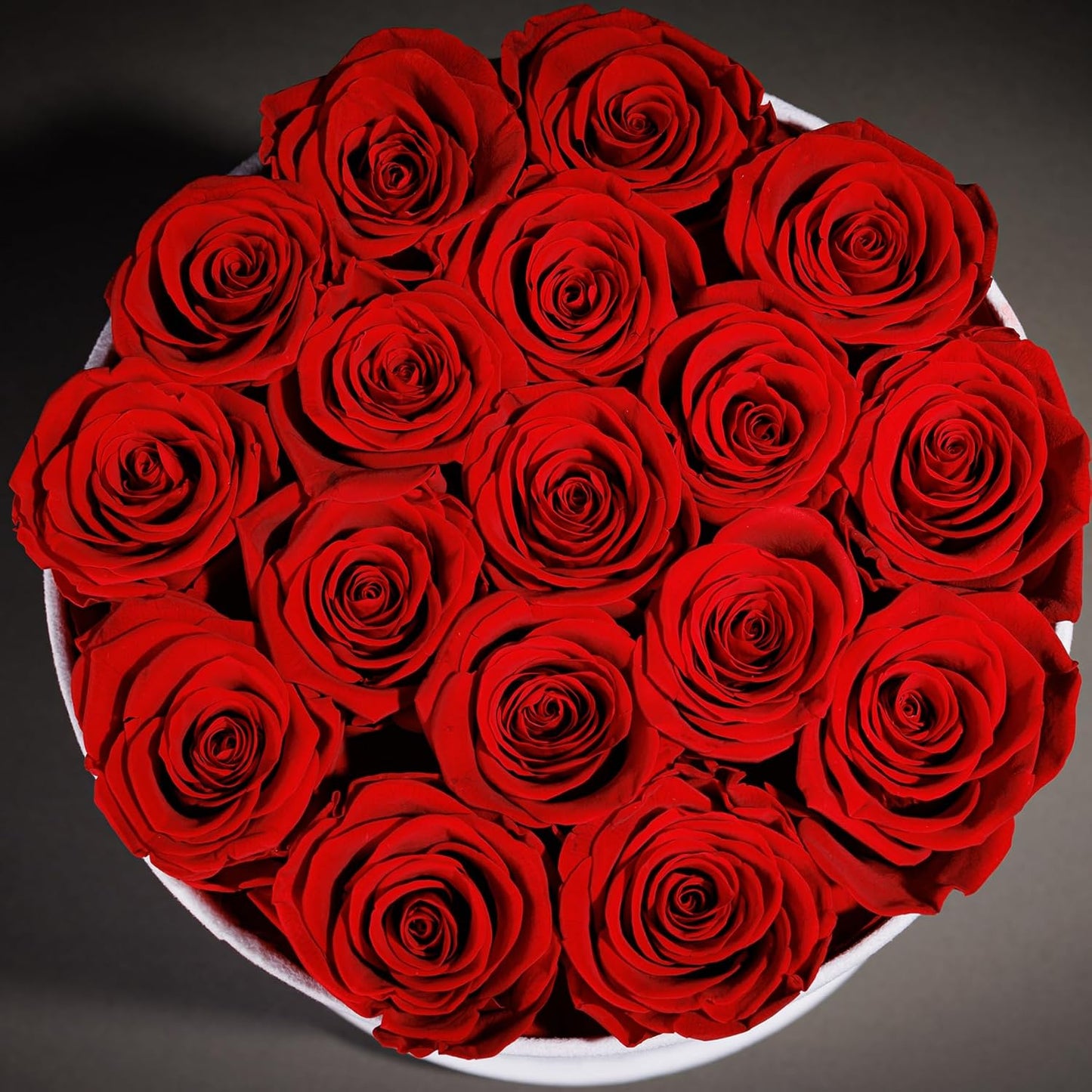 17 Preserved Roses in a Luxury Suede Box (White)