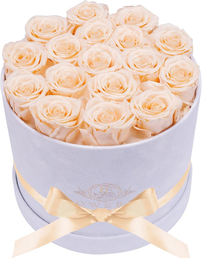 17 Preserved Roses in a Luxury Suede Box (White)