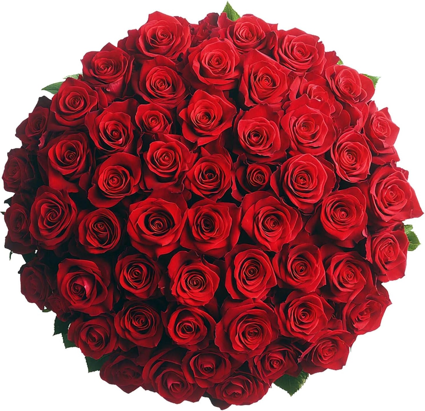 Real Fresh Cut Red Roses - 50 Fresh Flowers - Flowers Fresh Bouquet for Wedding, Birthday, Anniversary, Bridal Shower, or Home Decor - Fresh Cut Flowers Delivery Gift