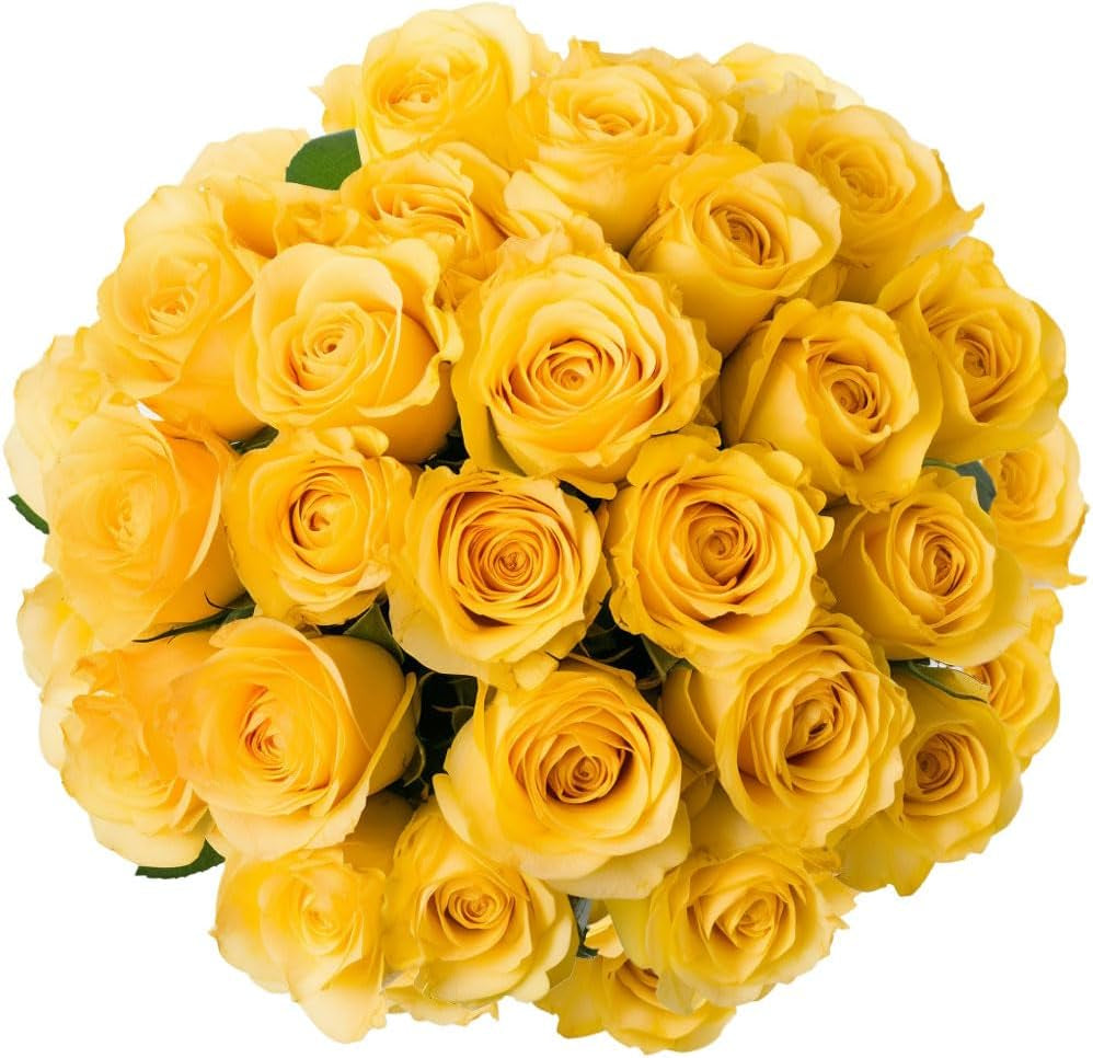 Fresh Cut Yellow Roses - 50 Roses Fresh Flowers Bouquet - Real Flowers Fresh Bouquet for Wedding, Birthday, Anniversary, Bridal Shower, or Home Decor - Fresh Cut Flowers Delivery