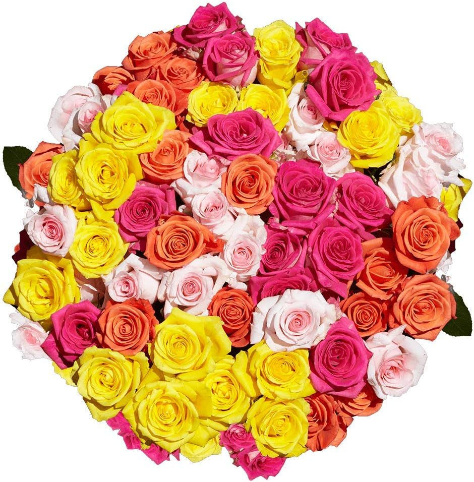 150 Fresh Cut Assorted Color Roses Long Stem - Fresh Flowers Wholesale Express Delivery