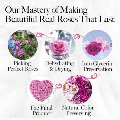 27-Piece Forever Flowers Heart Shape Box - Preserved Roses, Immortal Roses That Last a Year - Eternal Rose Preserved Flowers for Delivery Prime Mothers Day & Valentines Day - Pink