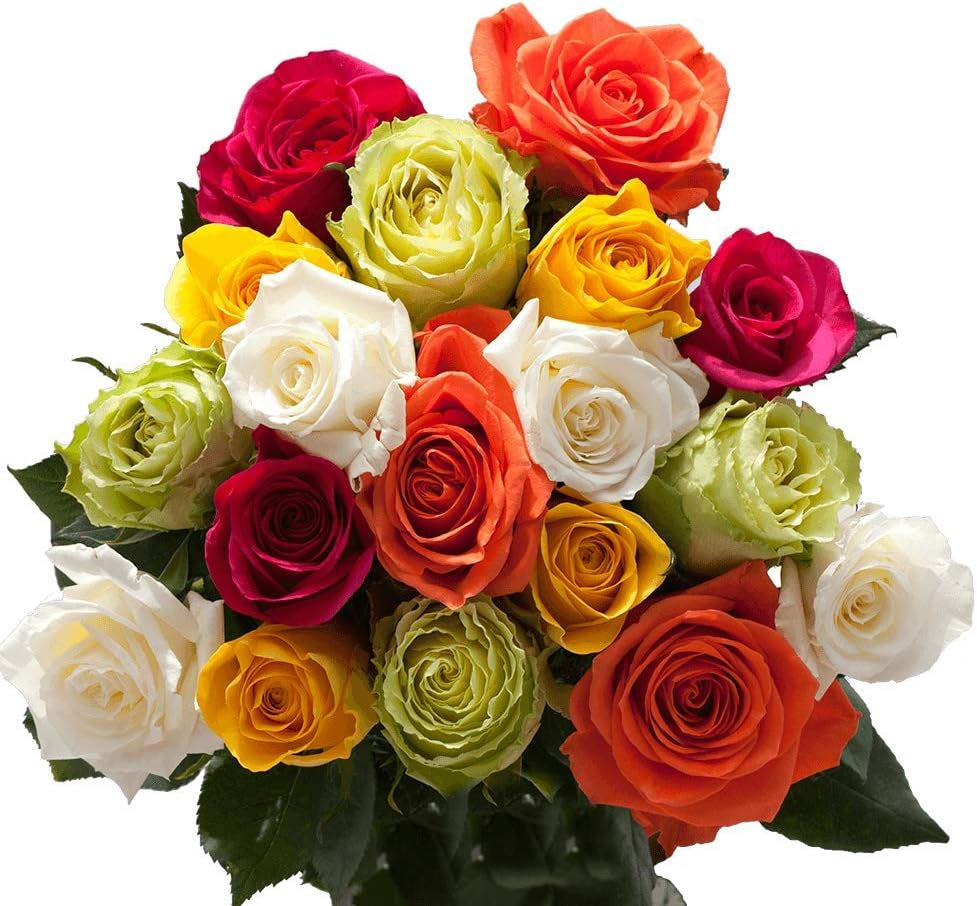 150 Fresh Cut Assorted Color Roses Long Stem - Fresh Flowers Wholesale Express Delivery